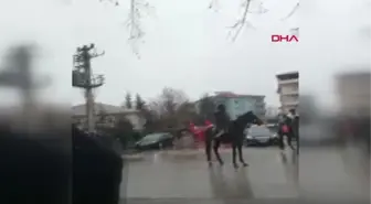 Kahramnamaraş Huysuzlanan At, Binicisini Sırtından Attı