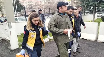 Kayganlaşan Yolda Motosiklet Devrildi: 1 Yaralı