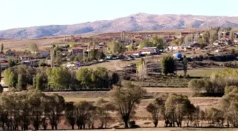 Tokat'ta Muhtar Adayı Kavgada Bıçaklandı