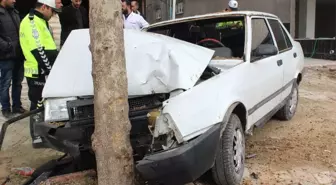 Elazığ'da Otomobil Ağaca Çarptı: 4 Yaralı