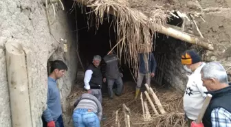 Yağış Nedeniyle Çöken Ahırda Gebe İnek Telef Oldu