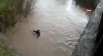 3 Yaşındaki Kayıp Çocuktan Acı Haber Geldi