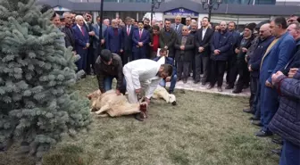 Kangal'da Nöbet Değişimi