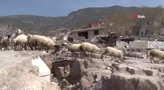 Heyelan Bölgesinde Bekleyiş Sürüyor