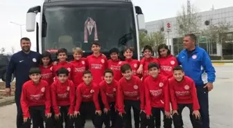 Minik Akrepler Uluslararası Arenada