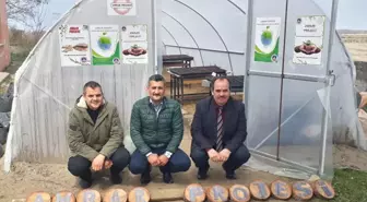 Okul Bahçesinde Kurulan Serada Yerli Tohumla Ürün Yetiştirilecek