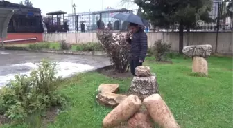 Salyangoz Sanılan Fosilin 'Ammonit' Olduğu Ortaya Çıktı