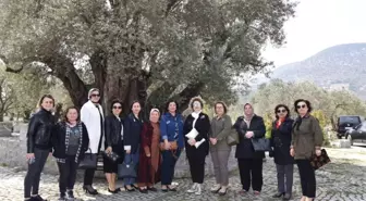 Vali Deniz'in Eşi Olcay Deniz Kırkağaç'ta İncelemelerde Bulundu