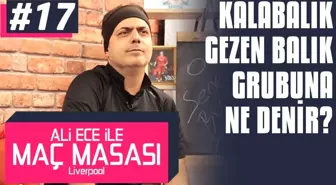 Ali Ece ile Maç Masası - 2. Sezon 17. Bölüm | Toplu Gezen Balık Sürüsüne Ne Denir?