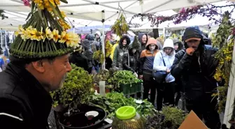 Alaçatı Ot Festivali'ne Yoğun İlgi