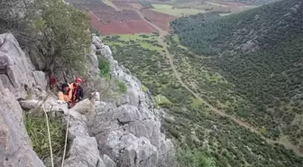 Dağda Mahsur Kalan Keçileri Afad Kurtardı