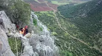 Kayalıklarda Mahsur Kalan Keçileri Afad Ekibi Kurtardı