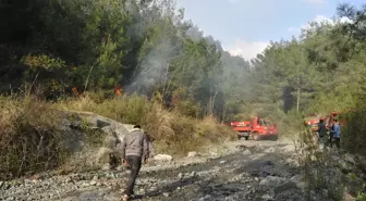 Hatay'da Orman Yangını