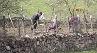 Karabük Kavgadan Dolayı Kaydı Bulunduğu İçin Mazbatasını Alamadı