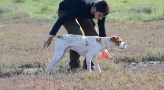 3. Fermalı Av Köpekleri Mera Yarışması