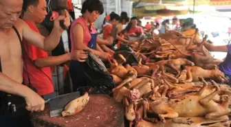 Burası Türkiye Değil Çin | Çin'in Bu Gerçeklerini Bilmiyorsun..