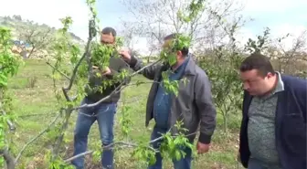 Erdemli'de Doludan 2,5 Milyon Zarar Belirlendi