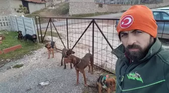 Bir Köpek Katliam Haberi de Kütahya'da