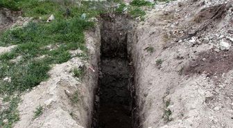 Burdur'da Çukurlardaki Kedi ve Köpek Ölüleri İçin Suç Duyurusu ve Soruşturma