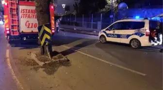 Kadıköy'de Otomobil Ağaca Çarptı: 2'si Ağır 3 Yaralı