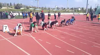 Tokatlı 'Özel Sporcuların' Başarısı