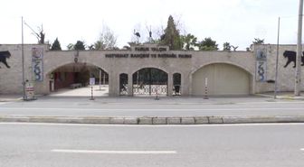 Kaplumbağa 'Tuki' 99 Yaşına Girdi
