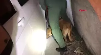 Van'da 47 Kilo 900 Gram Eroin Ele Geçirildi