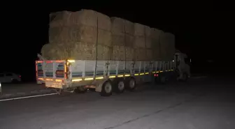 Konya'da Otomobil Tıra Çarptı: 5 Yaralı