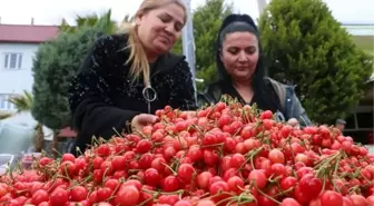 Manisa'da Sezonun İlk Kirazı Kilosu 250 Liradan Satıldı