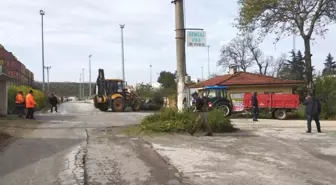 Gemlik'te Bahar Temizliği