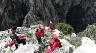 Mersin'de Keçi Kurtarma Operasyonu