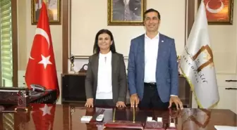 Nusaybin'de Hdp'li Nergiz, Göreve Başladı