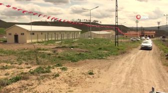Yozgat'ta 10 Üreticiye 500 Kaz Palazı Dağıtıldı