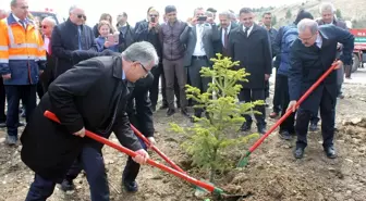 16 Yılda 4 Milyar Fidanı Toprakla Buluşturduk'