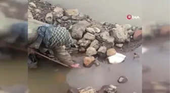 Sosyal Medyada Yoğun İlgi Gördüler.