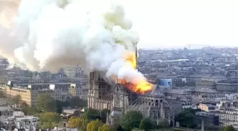 Afd: Notre Dame'ı Müslümanlar Yaktı!