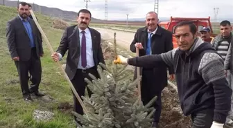 Çiçekdağı İlçe Belediye Başkanı Hakanoğlu: 'Yeşil Bir Çiçekdağı Oluşturacağız'