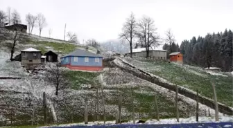 Mor Yayla, Yağan Karla Beyaza Büründü