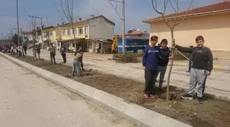 Babaeski'de Fidan Dikim Etkinliği