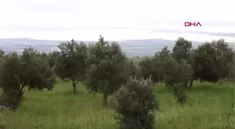 Hatay'da Yağış, Sel ve Su Baskınlarına Yol Açtı