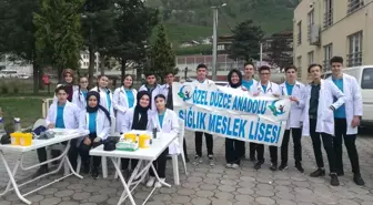 Düzce'den Kısa Kısa