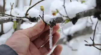 Meteorolojiden 'zirai don' uyarısı