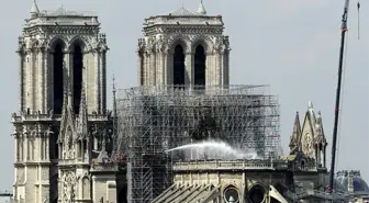 Notre-Dame'daki Arılar Yangından Sağ Kurtuldu