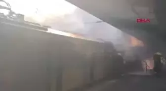 İzmir Neşeli Otlar Festivali'nde Eğlencenin Tadını Çıkardılar