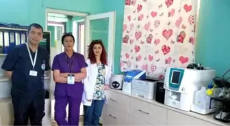 Hayvan Barınağı Tam Donanımlı Kliniğe Kavuştu