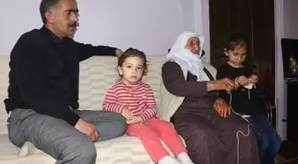 Toplumun Temel Direği: Aile - Fatma Ninenin Geniş Ailesiyle Mutlu Yaşamı