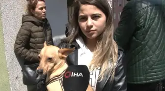 Kağıthane'deki Evinden Köpeğiyle 10 Dakika Önce Çıkan Genç Kız O Anları Anlattı