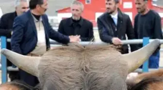 Çiftçiler Sosyal Medyadan Dolandırılıyor