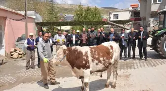 Mahalle Sakinleri, Bereket ve Bolluk İçin Kurban Kesti
