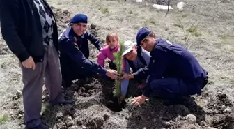 Beyşehir'de Fidan Dikme Etkinliği